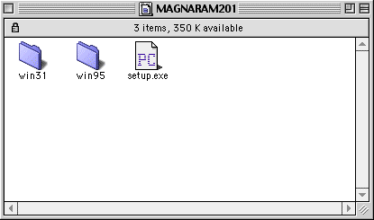 MagnaRAM Disk Window